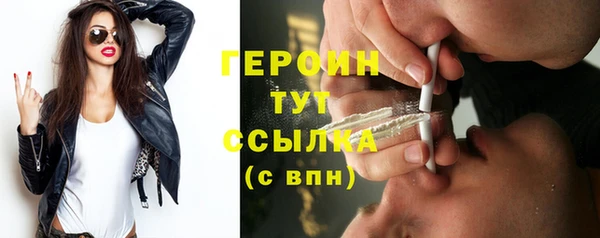 индика Протвино