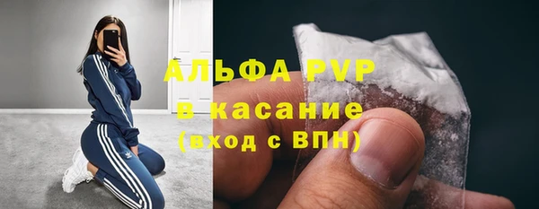 PSILOCYBIN Приозерск