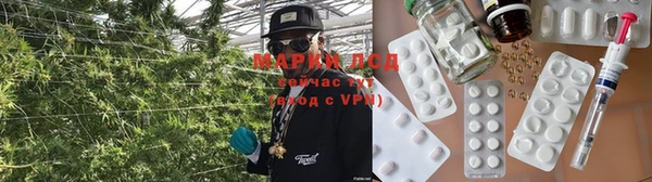 индика Протвино