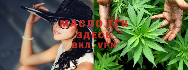 индика Протвино